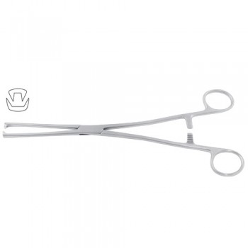 Museux Tenaculum Forcep 2 x2 Teeth Stainless Steel, 24 cm - 9 1/2" Jaw Size 10 mm 